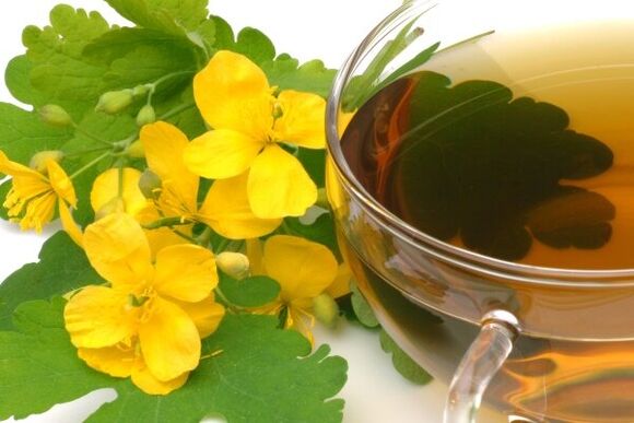 Infusion of celandine for the treatment of prostatitis